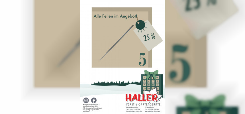 Standard Post with Image