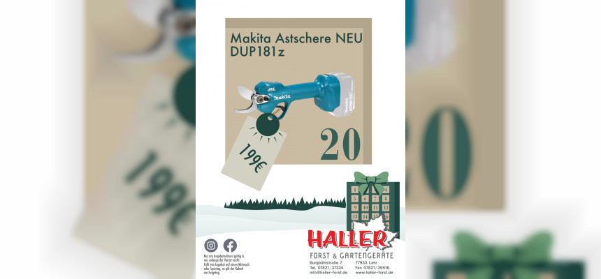 Standard Post with Image