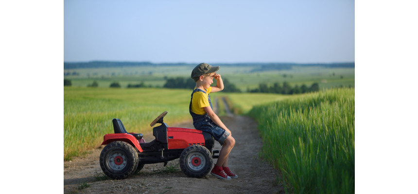 Standard Post with Image